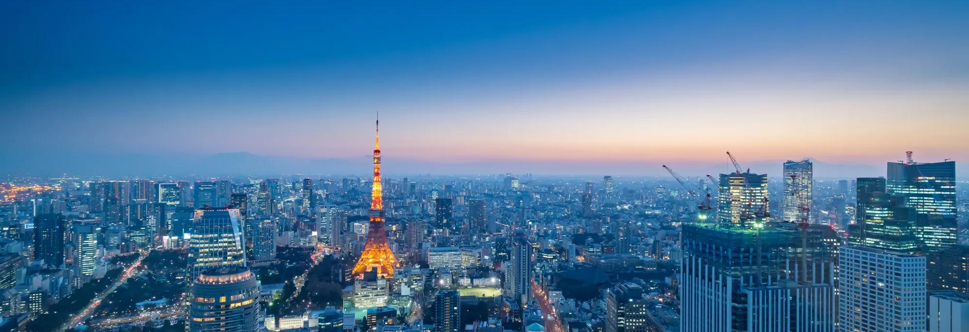 Sprachaufenthalt Japan, Tokio, Stadt