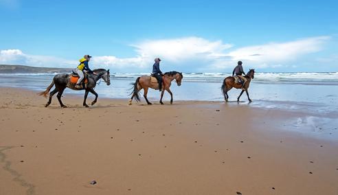 Sprachaufenthalt Portugal, Faro, monter à cheval