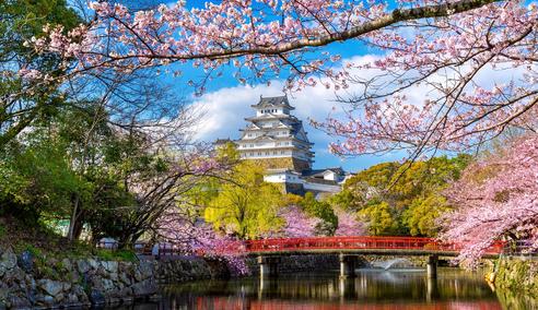 Séjour linguistique Japon, Kobe, Himeji château