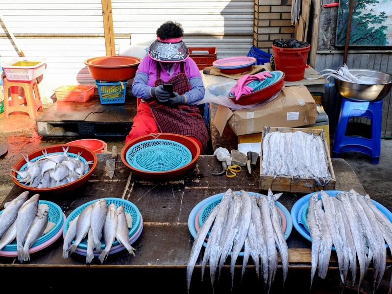 Sprachaufenthalt Südkorea, Busan, Jagalchi Fischmarkt