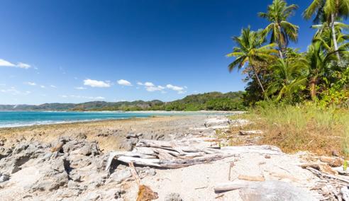 Séjour linguistique Costa Rica, Samara, Plage de samara