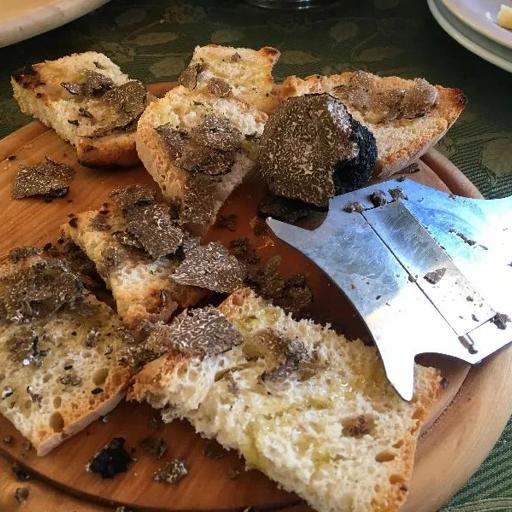 Séjour linguistique, Review, Bagno di Romagna, Truffes