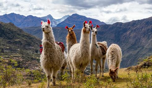 Séjour linguistique Pérou, Cuzco, Trekking