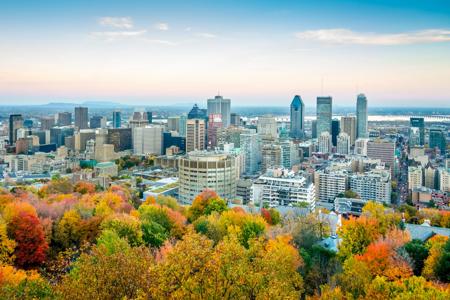 Downtown Montreal City in Autumn Twilight with colorful Indian Summer Autumn Trees from above. Montreal,Quebec, Canada.