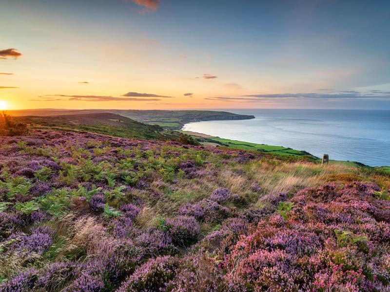 Séjour linguistique Angleterre, York, North York Moors