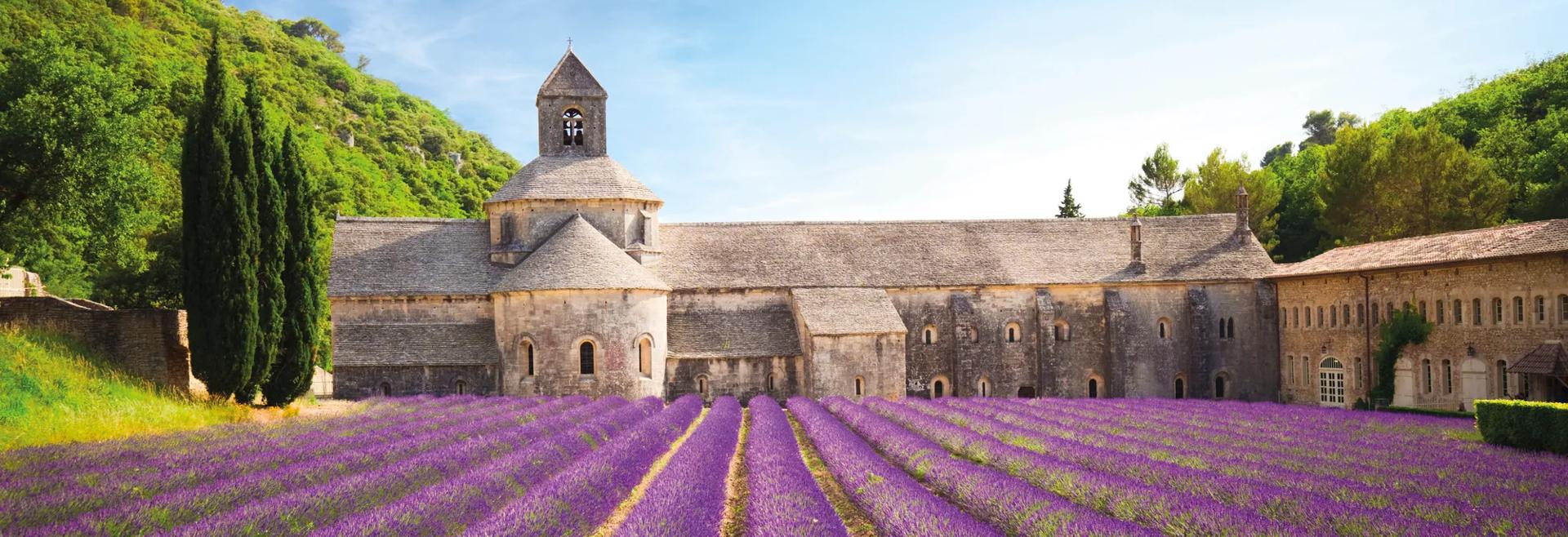 Séjour linguistique France, lavande