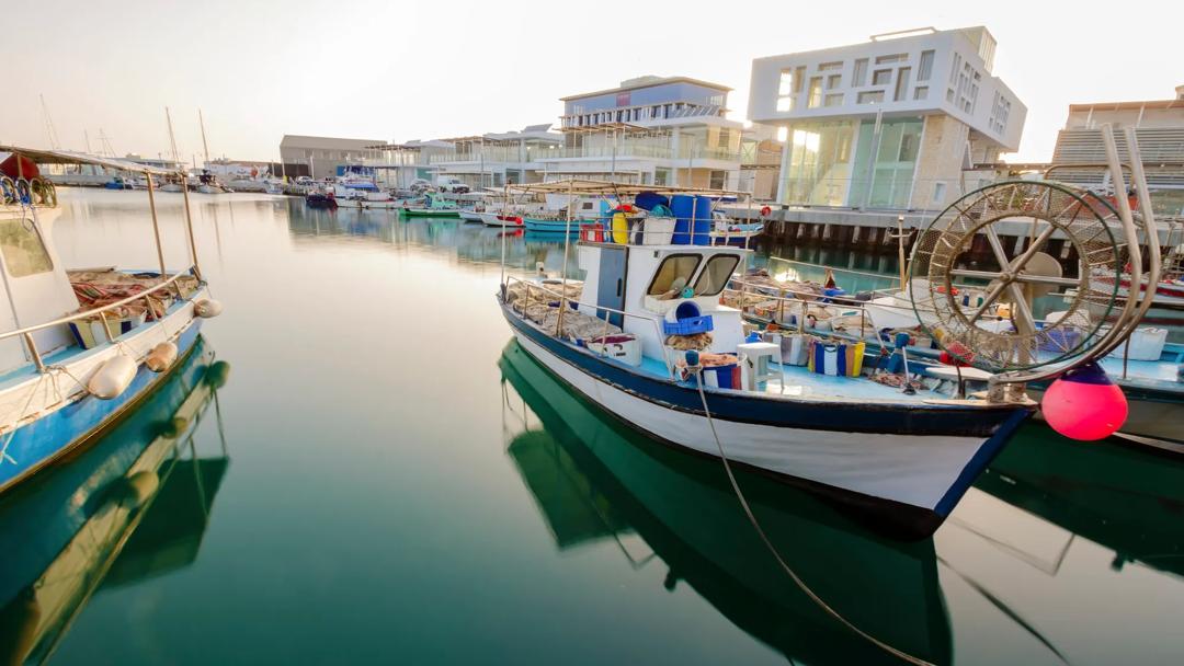 Sprachaufenthalt Zypern, Limassol, Boote