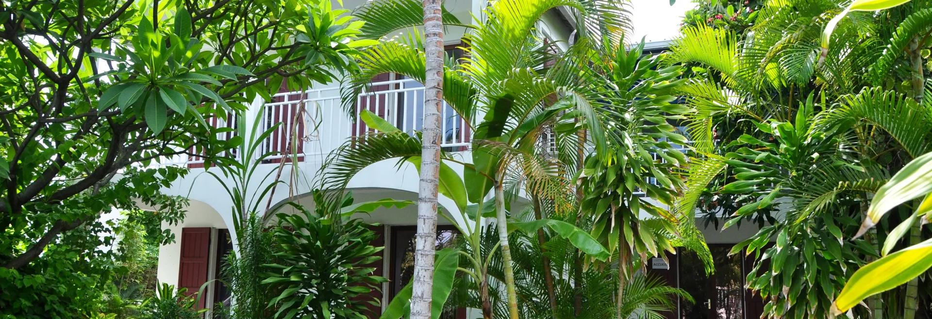 Sprachaufenthalt La Réunion, Saint-Paul - DP Langues - Schule