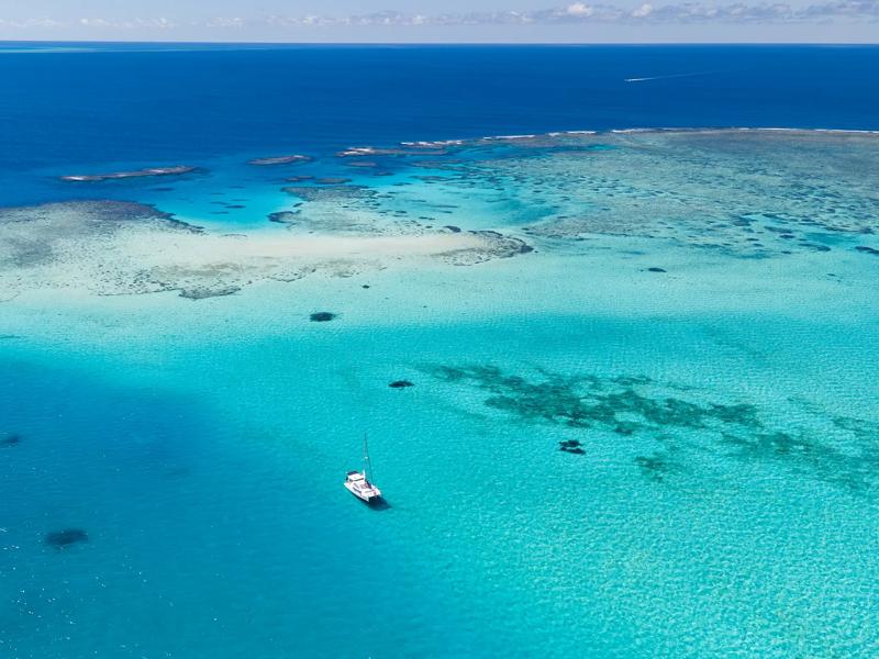 Sprachaufenthalt Australien, Cairns, Walker Reef