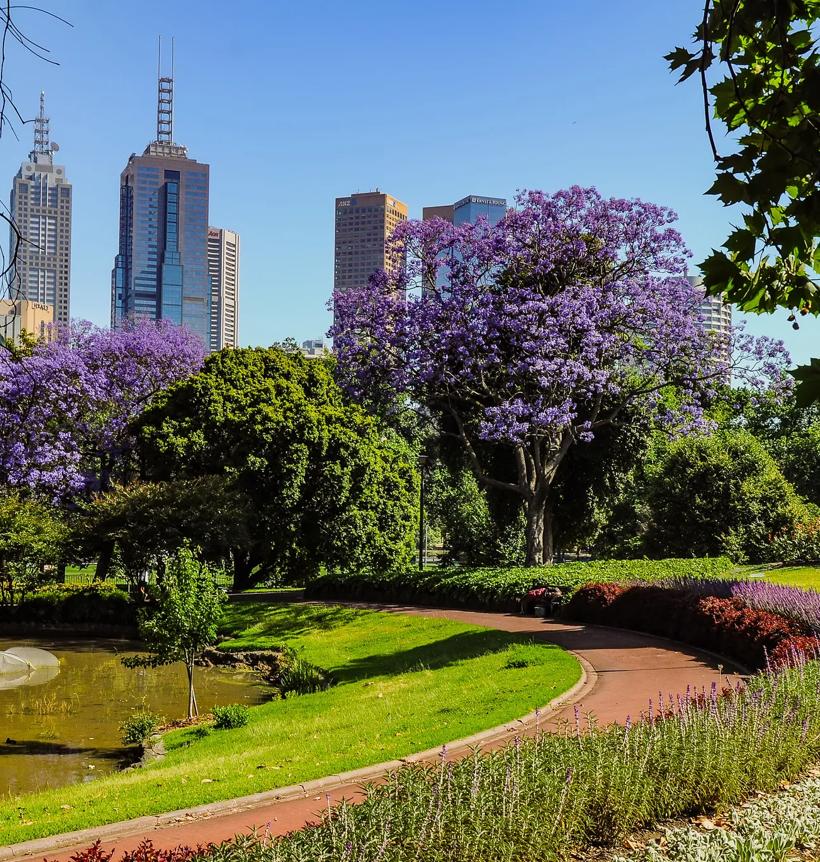 Séjour linguistique Australie, Melbourne, Jardin botanique