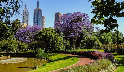 Sprachaufenthalt Australien, Melbourne, Botanischer Garten