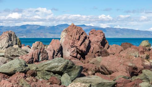 Séjour linguistique Nouvelle Zélande, Wellington, Red Rocks