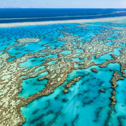 Sprachaufenthalt Australien, Cairns, Great Barrier Reef