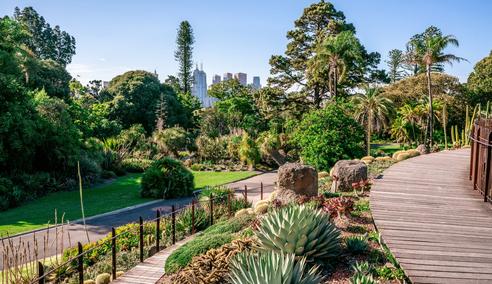 Sprachaufenthalt Australien, Melbourne, Botanische Gärten