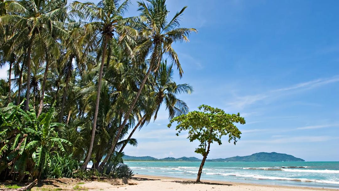 Séjour linguistique Costa Rica, Playa Tamarindo, Strand