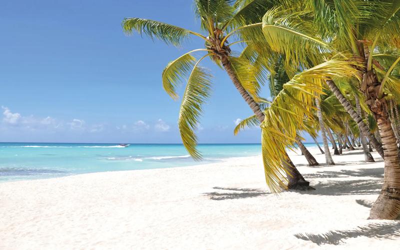 Sprachaufenthalt Dominikanische Republik, Sosua, Palmen Strand