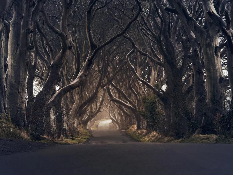 Séjour linguistique Angleterre, Belfast, Game of Thrones Tour