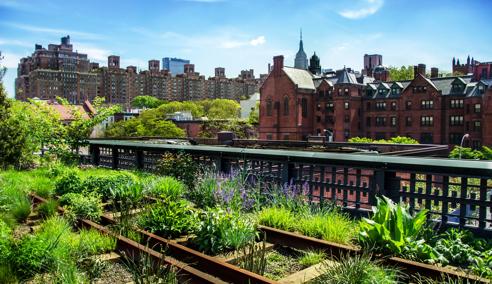 Sprachaufenthalt USA, New York, Highline Park