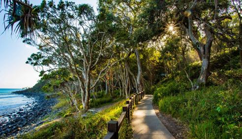Sprachaufenthalt Australien, Noosa, Natur