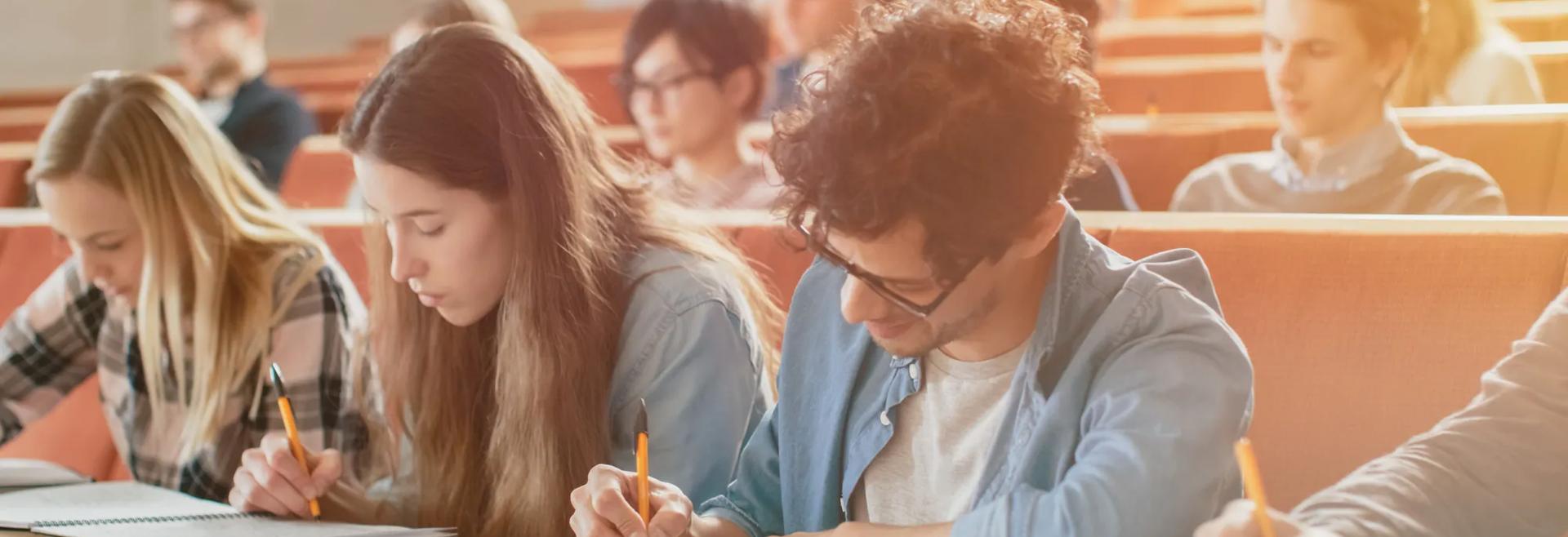 Séjour linguistique, Préparation à l'université