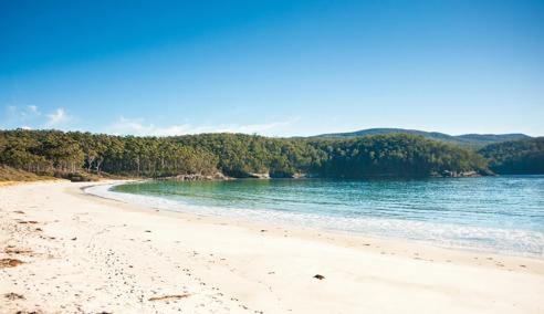 Séjour linguistique Nouvelle-Zélande, Nelson, Beach