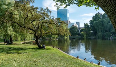 Séjour linguistique États-Unis, Boston, Parc