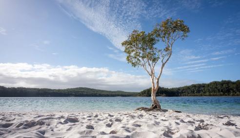 Sprachaufenthalt Australien, Noosa, Fraser Island
