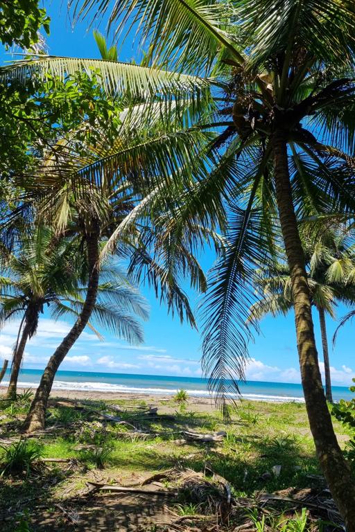 Sprachaufenthalt Costa Rica Sámara