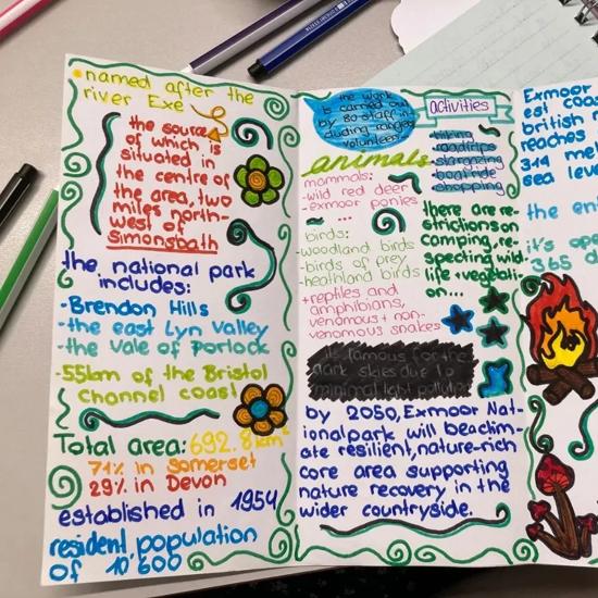 Séjour linguistique, Expériences, Torquay, Projet de classe