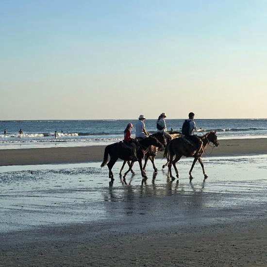 Sprachaufenthalt, Erfahrungen, Sámara, Pferde, Strand