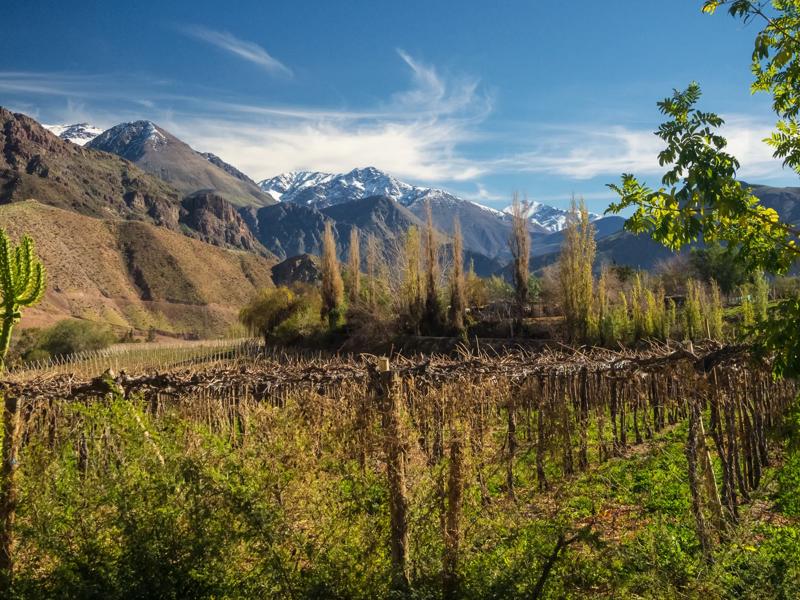 Séjour linguistique Chili, Santiago du Chili, Vina la Montaña