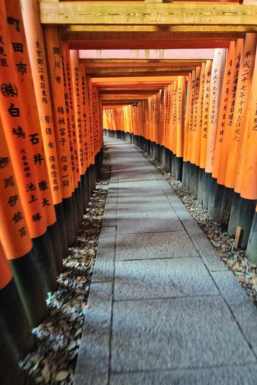 Sprachaufenthalt Japan, Kyoto, Fushimi Inari-Taisha Schrein