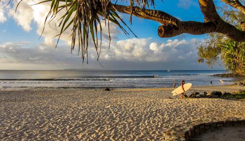 Sprachaufenthalt Australien, Noosa Beach Surfer