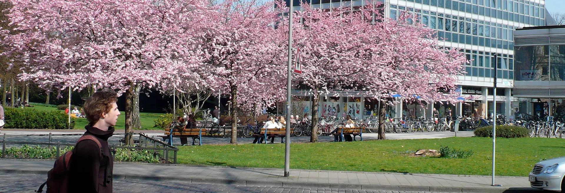 Sprachaufenthalt Deutschland, Münster - Kapito Sprachschule Münster - Schule