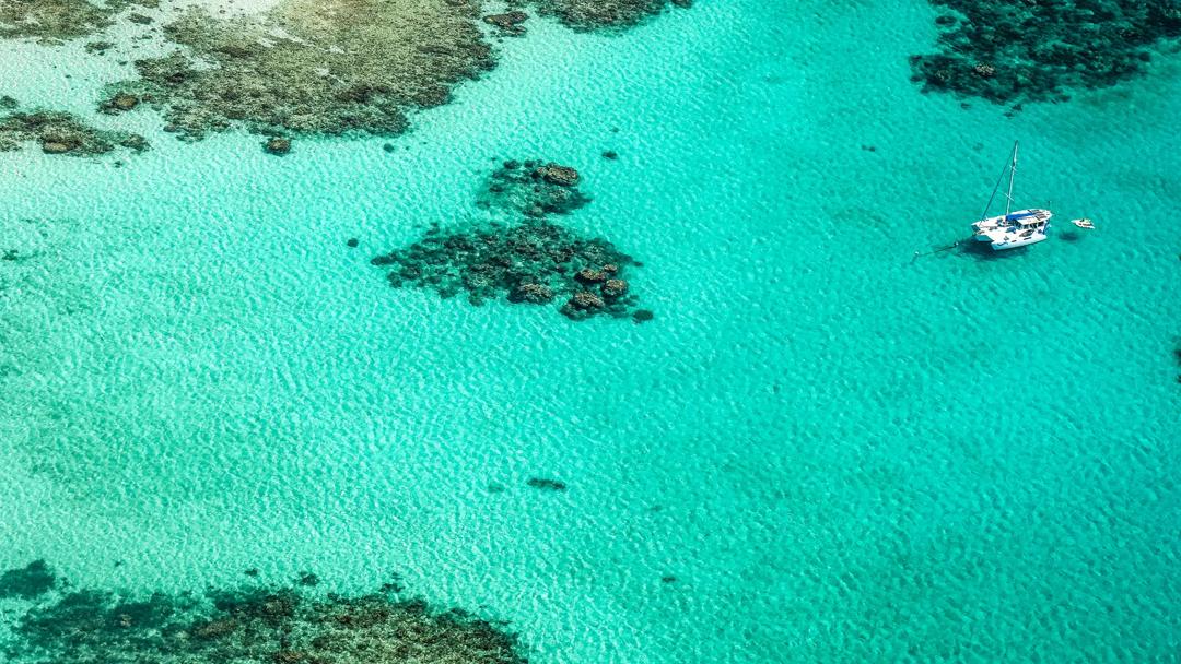 Sprachaufenthalt Great Barrier Reef Catamaran