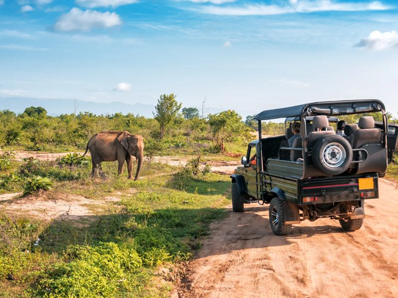 Sprachaufenthalt Südafrika, Kapstadt - Safari Tour