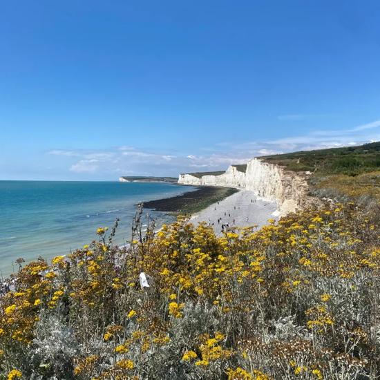 Sprachaufenthalt, Erfahrungen, Brighton, Seven Sisters