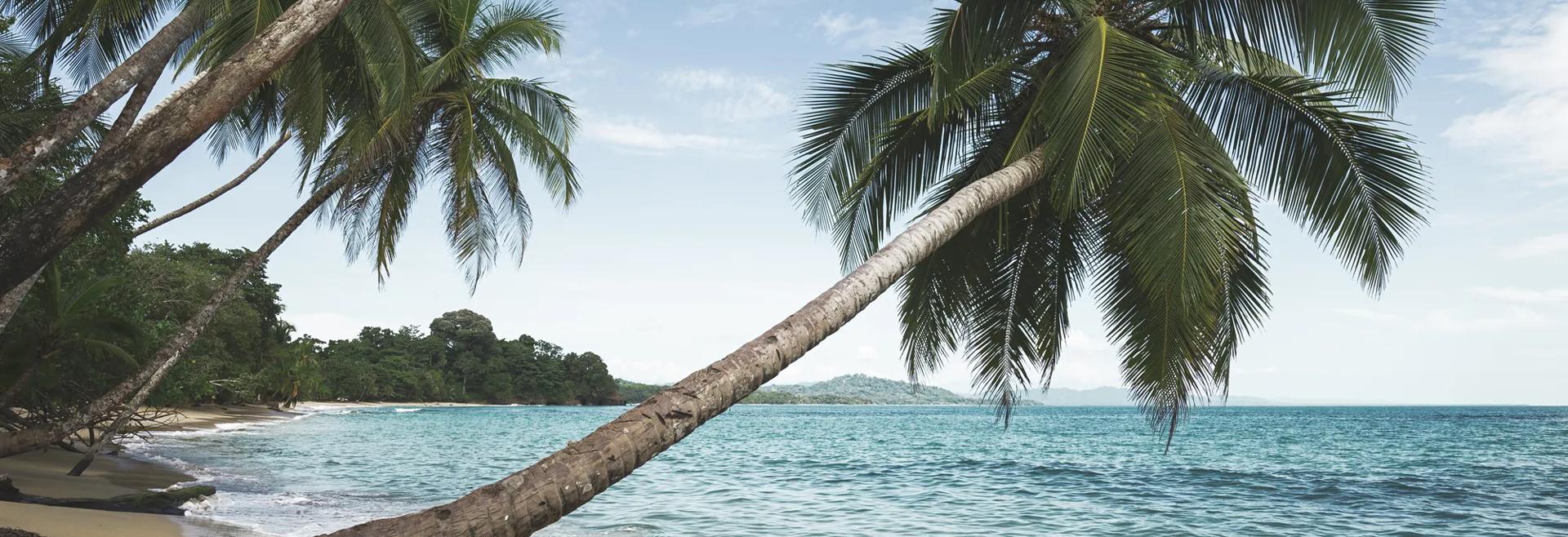 Séjour linguistique Costa Rica, Puerto Viejo de Talamanca - Playa punta uva