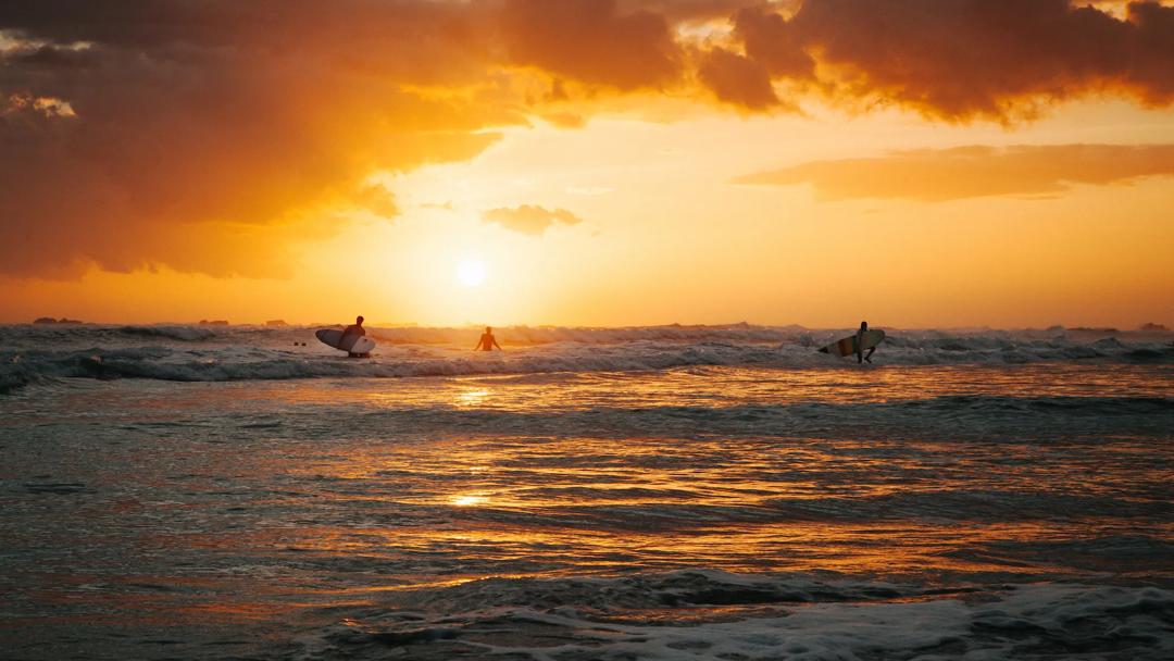 Séjour linguistique États-Unis, Hawaii, Surf