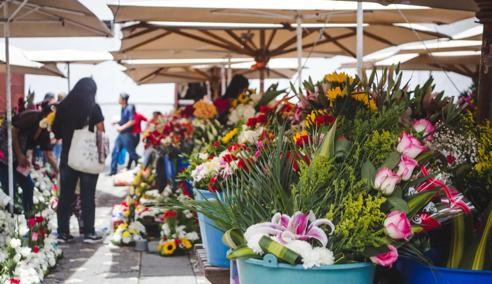 Sprachaufenthalt Ecuador, Cuenca,Mercado de las flores