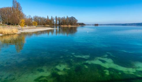 Sprachaufenthalt Deutschland, Radolfzell am Bodensee, Liebesinsel