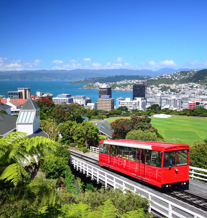 Séjour linguistique Nouvelle Zélande, Wellington
