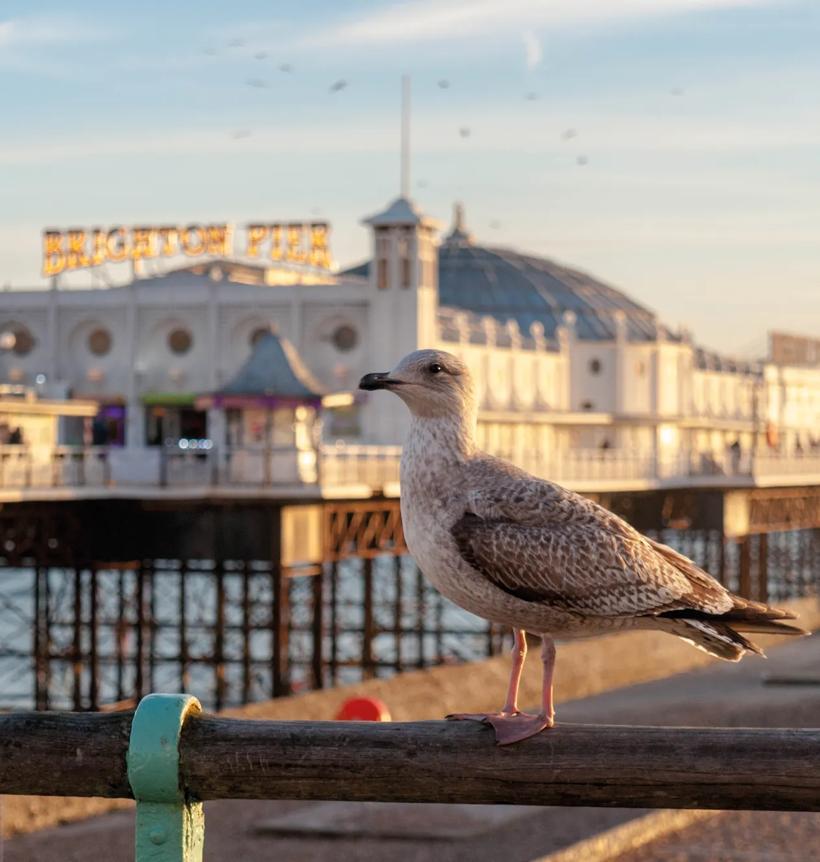 Sprachaufenthalt England, Brighton, Royal Pier