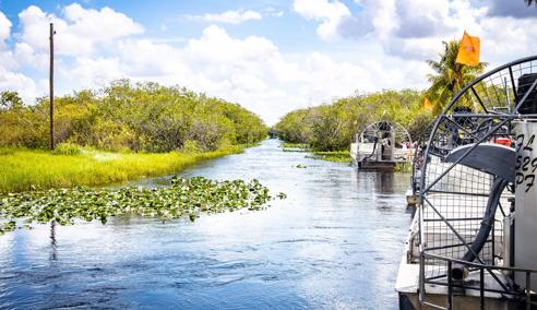 Séjour linguistique États-Unis, Miami, Everglades