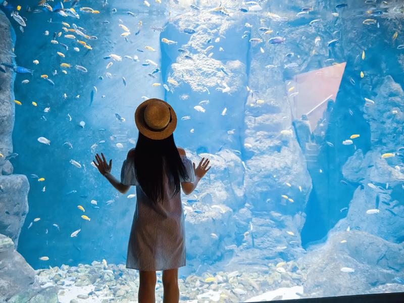 Séjour linguistique France, Biarritz, Aquarium de Biarritz