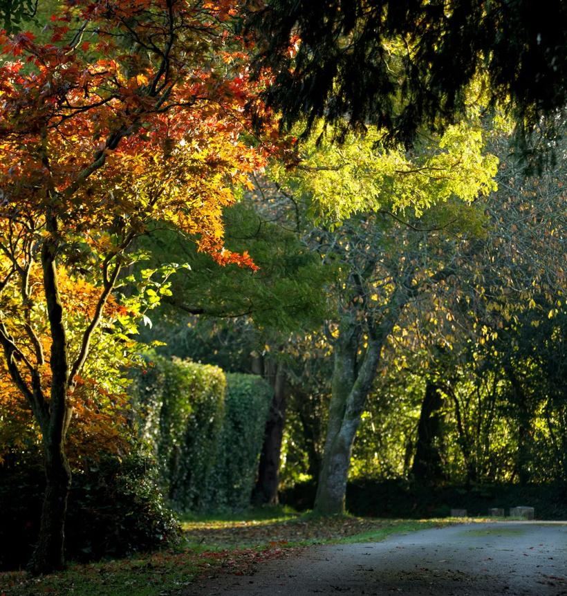 Sprachaufenthalt England, Riversdown House Warnford, Garten