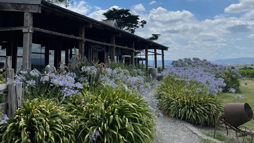 Sprachaufenthalt Australien, Melbourne, Weintour