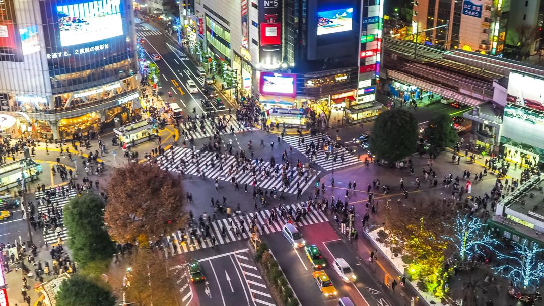 Séjour linguistique, Japon, Tokyo, Shibuya Crossing