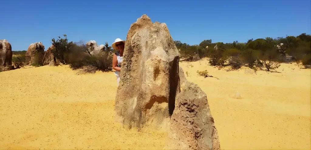 Sprachaufenthalt, Erfahrung, Perth, Feld