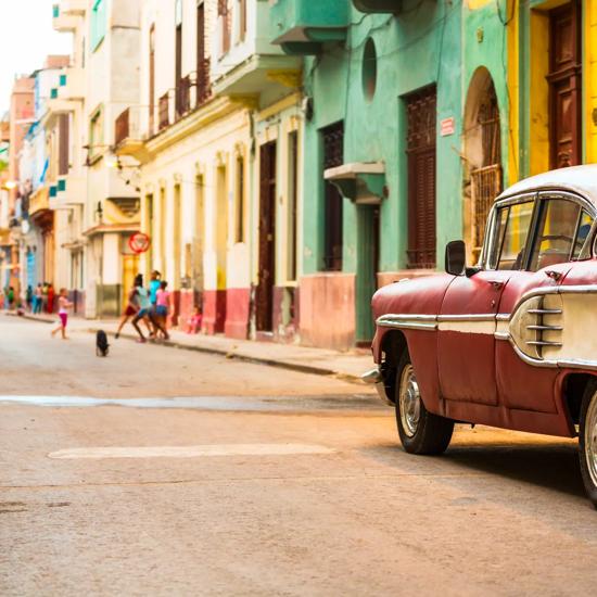 Sprachaufenthalt Kuba, Autos